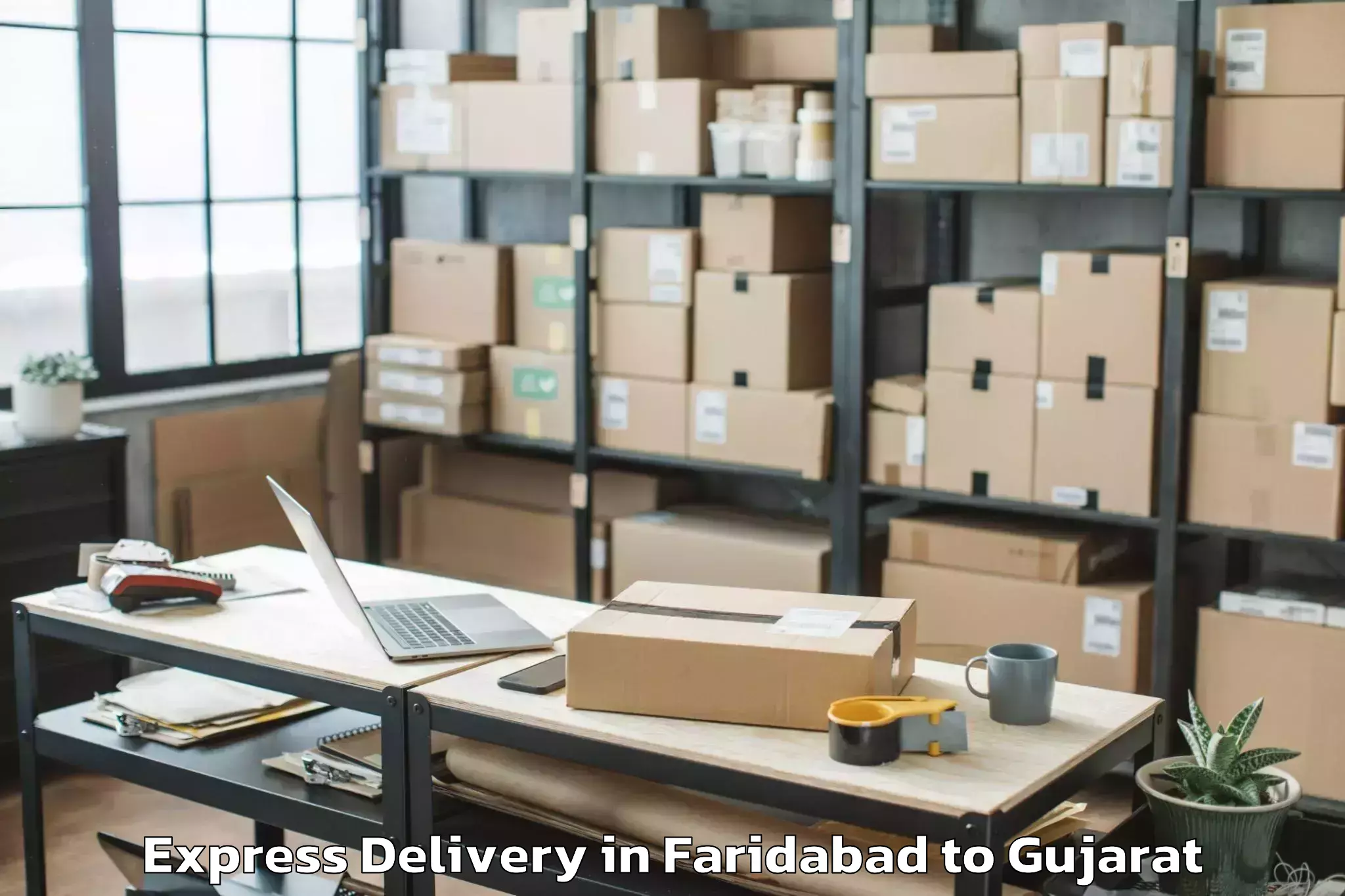 Professional Faridabad to Devgadh Bariya Express Delivery